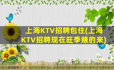 上海KTV招聘包住(上海KTV招聘现在旺季赚的来)